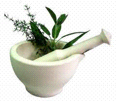 العلاج بالأعشاب